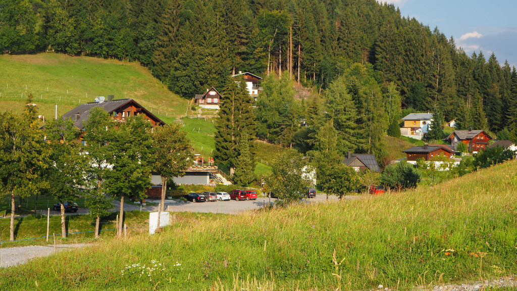P8208402.JPG