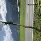 image00003.jpeg