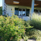 IMG_20200529_090958.jpg