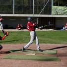 Cardinals Nachwuchs