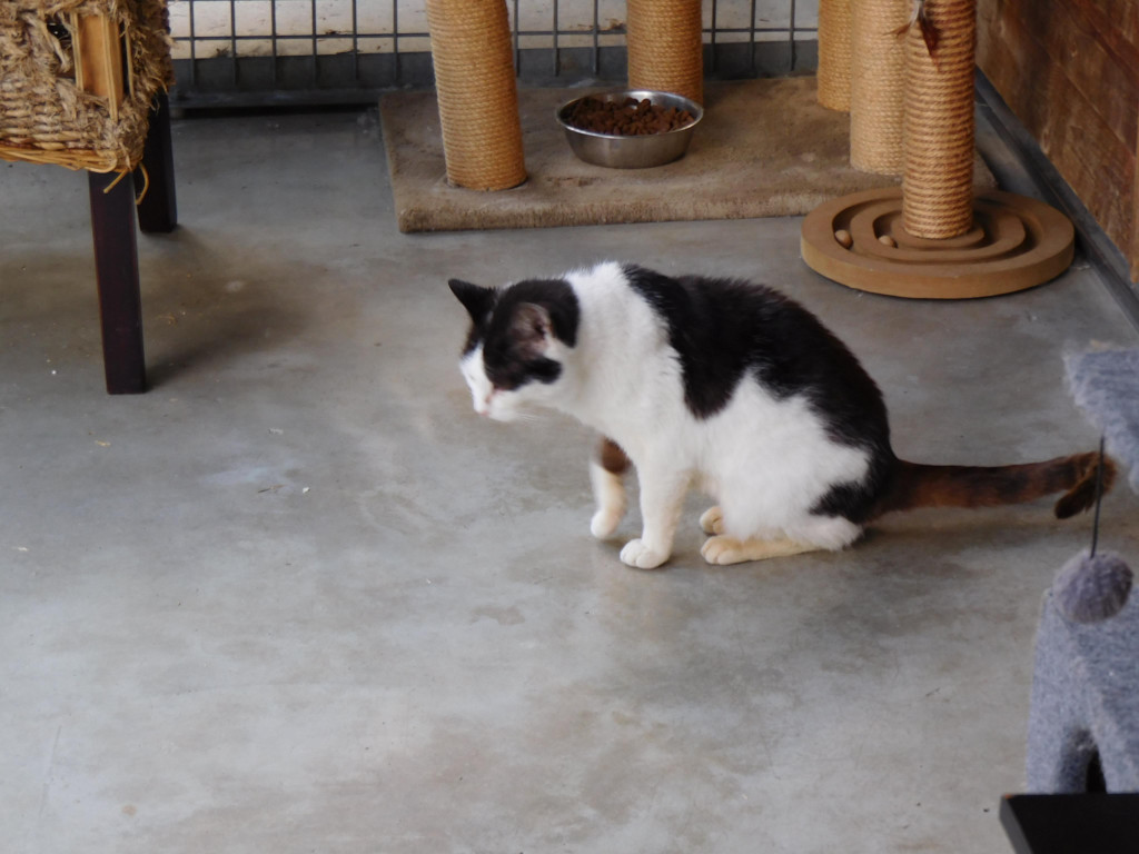 DSCI4086.JPG