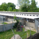 DSCI4091.JPG