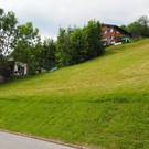 P5283579.JPG
