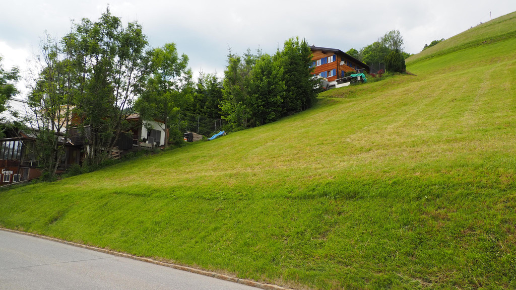 P5283579.JPG