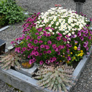 Grabschmuck Gemeinde Gaschurn_RH_P1070195.JPG