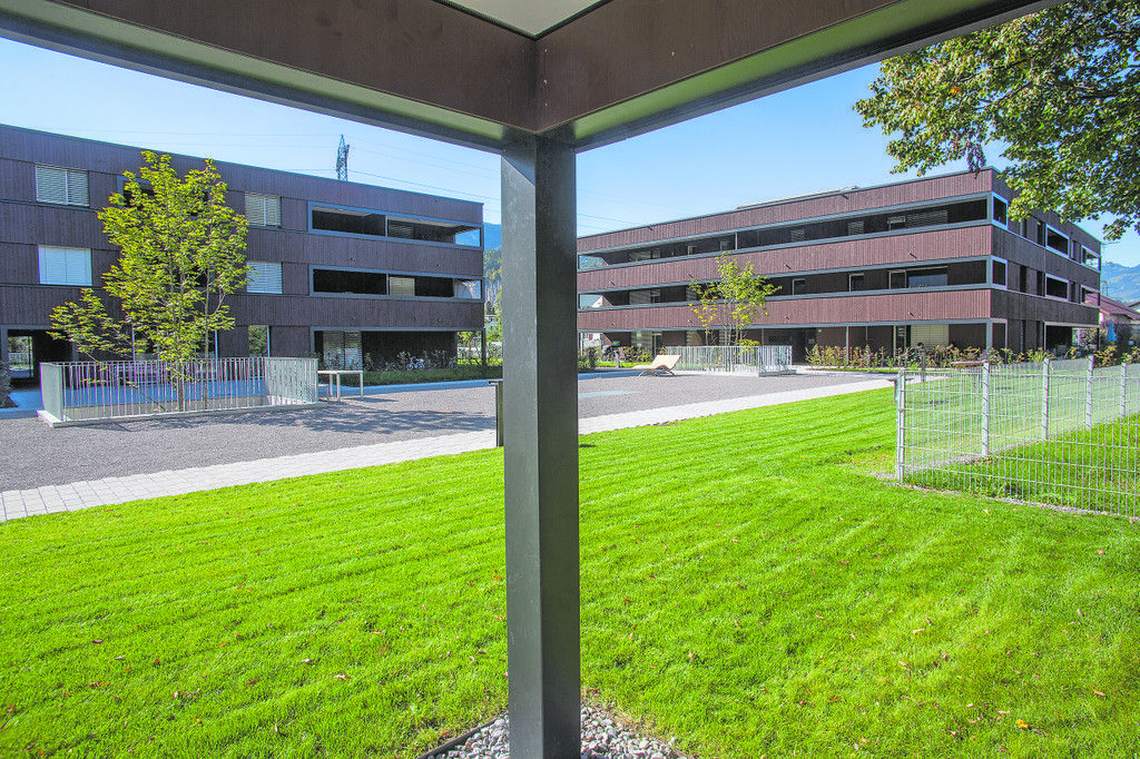 siedlung_buers_dorner_matt__corneliahefel_009.jpg