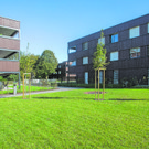 siedlung_buers_dorner_matt__corneliahefel_048.jpg
