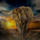 0024_Namibia_Mario_Stecher.jpg
