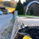 0042_Ist_da_wer_Schnecke_Stefanie_Moosmann.jpg
