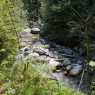 IMG_20200603_141700.jpg