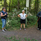 IMG_20200603_142447.jpg