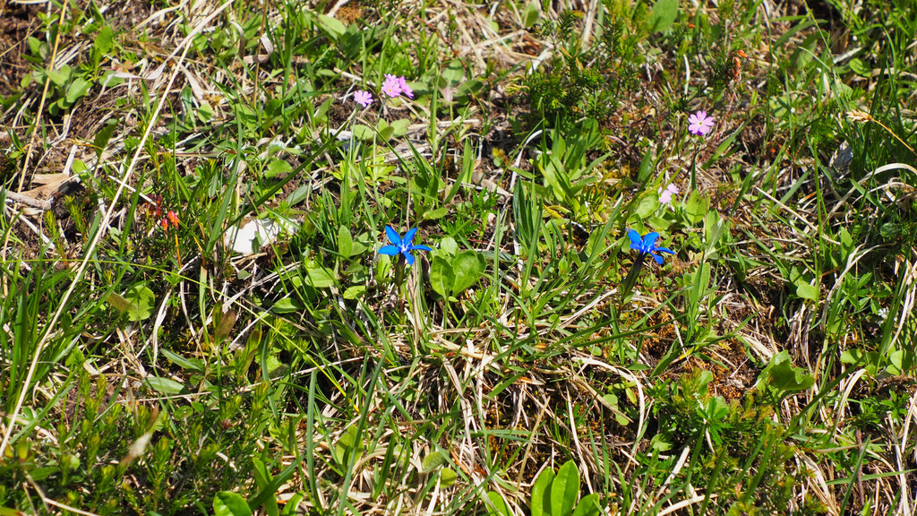 P5183245.JPG