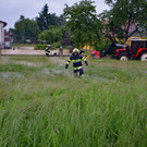 ABD0018-20200608.jpg