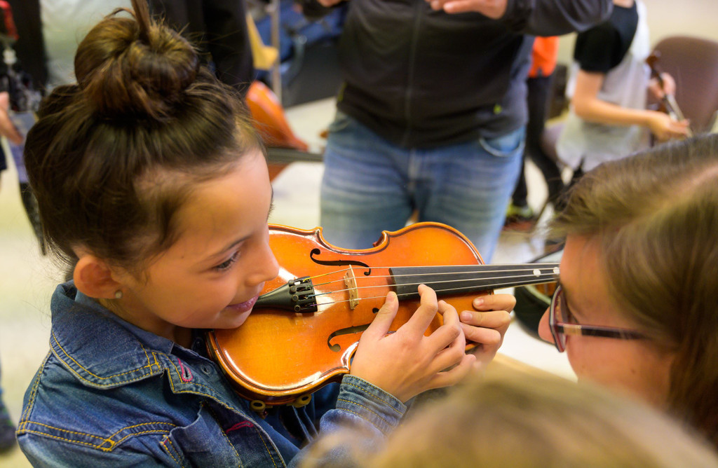 Violine 1.jpg