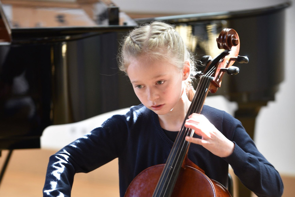 PLM 20 Cello 3 c.jpg