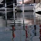 z Schwanenfamilie im Hafen 08-06-2020 _1_.JPG