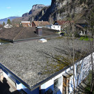 Dachbegru_____nung vorher-2.jpg