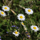 2020-04-11_0011_bearbeitet-1.jpg