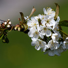 2020-04-11_0017_bearbeitet-1.jpg