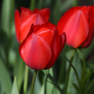 2020-04-15_0086_bearbeitet-1.jpg