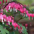2020-04-15_0092_bearbeitet-1.jpg