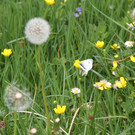 2020-05-08_0061_bearbeitet-1.jpg