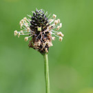 2020-05-15_0029_bearbeitet-1.jpg