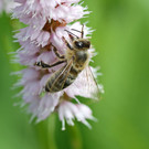 2020-05-15_0080_bearbeitet-1.jpg