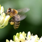 2020-05-15_0090_bearbeitet-1.jpg