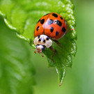 2020-05-15_0110_bearbeitet-1.jpg