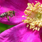 2020-05-15_0175_bearbeitet-1.jpg