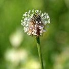 2020-05-17_0240_bearbeitet-1.jpg