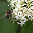 2020-05-20_0005_bearbeitet-1.jpg