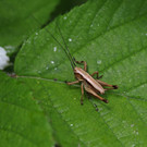 2020-05-20_0062_bearbeitet-1.jpg