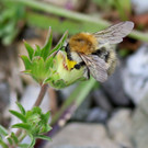 2020-05-25_0046_bearbeitet-1.jpg