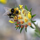 2020-05-25_0051_bearbeitet-1.jpg