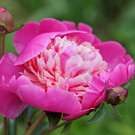 2020-05-25_0075_bearbeitet-2.jpg