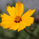 2020-05-29_0006_bearbeitet-1.jpg