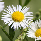 2020-05-31_0041_bearbeitet-1.jpg