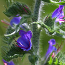 2020-05-31_0092_bearbeitet-1.jpg