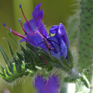 2020-05-31_0096_bearbeitet-1.jpg
