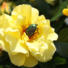 2020-06-03_0022_bearbeitet-2.jpg