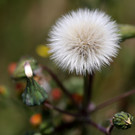 2020-06-03_0069_bearbeitet-1.jpg