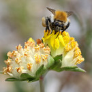 2020-06-03_0117_bearbeitet-1.jpg
