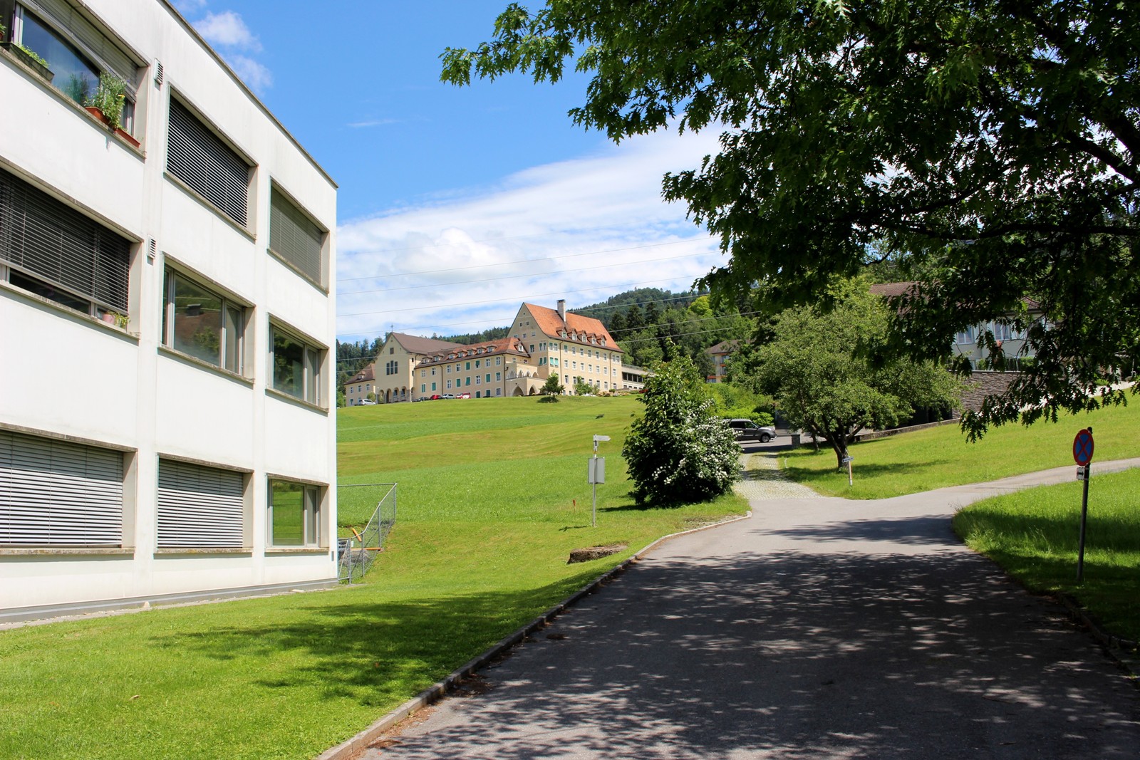 z Oberlochauerbach ANSICHTEN VERLAUF ALT 08-06-2020 _2_.JPG