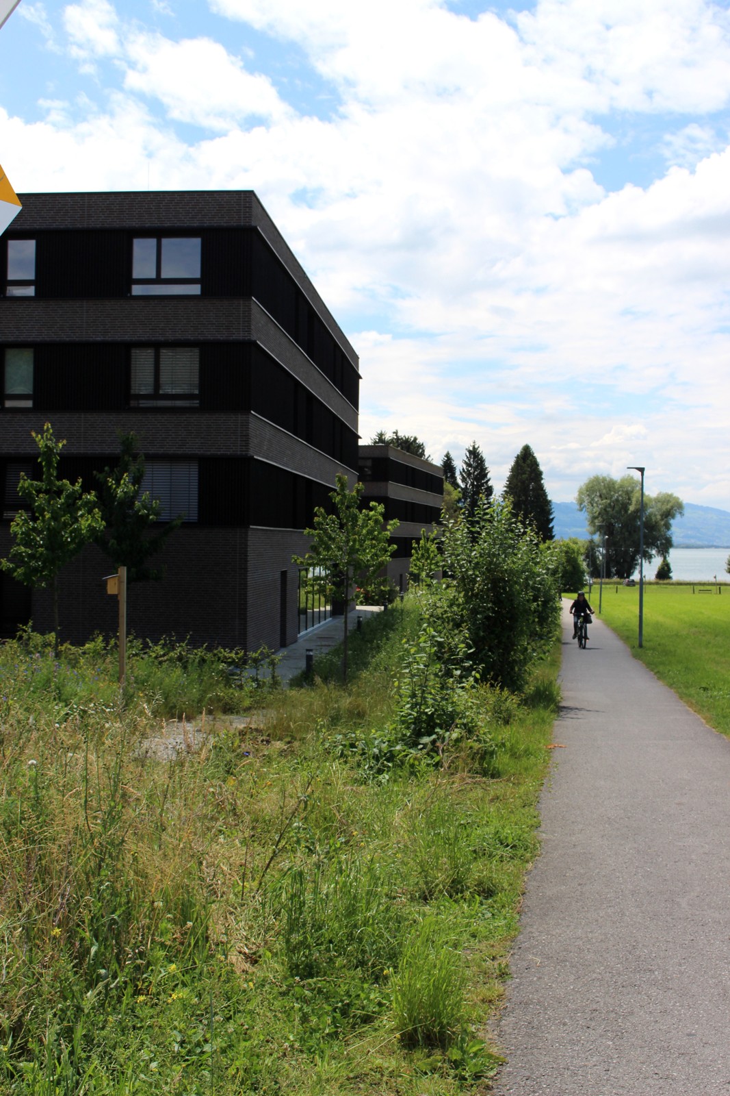 z Oberlochauerbach ANSICHTEN VERLAUF ALT 08-06-2020 _8_.JPG