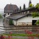P6103876.JPG