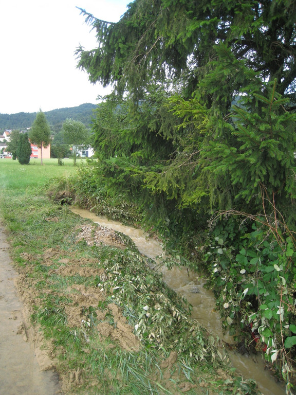 d Oberlochauerbach Hochwasser L 190 Juli 2010 _10a_.jpg