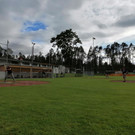 IMG_20200619_183625.jpg