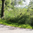 IMG_20200623_091018.jpg
